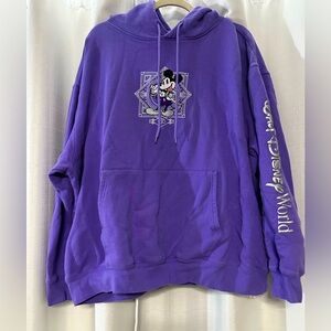 Disney Parks 100 hoodie